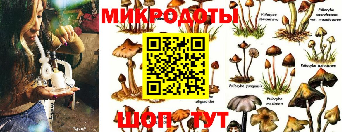 купить наркоту  Псилоцибиновые грибы ЛСД  Вход с VPN  Мыски 
